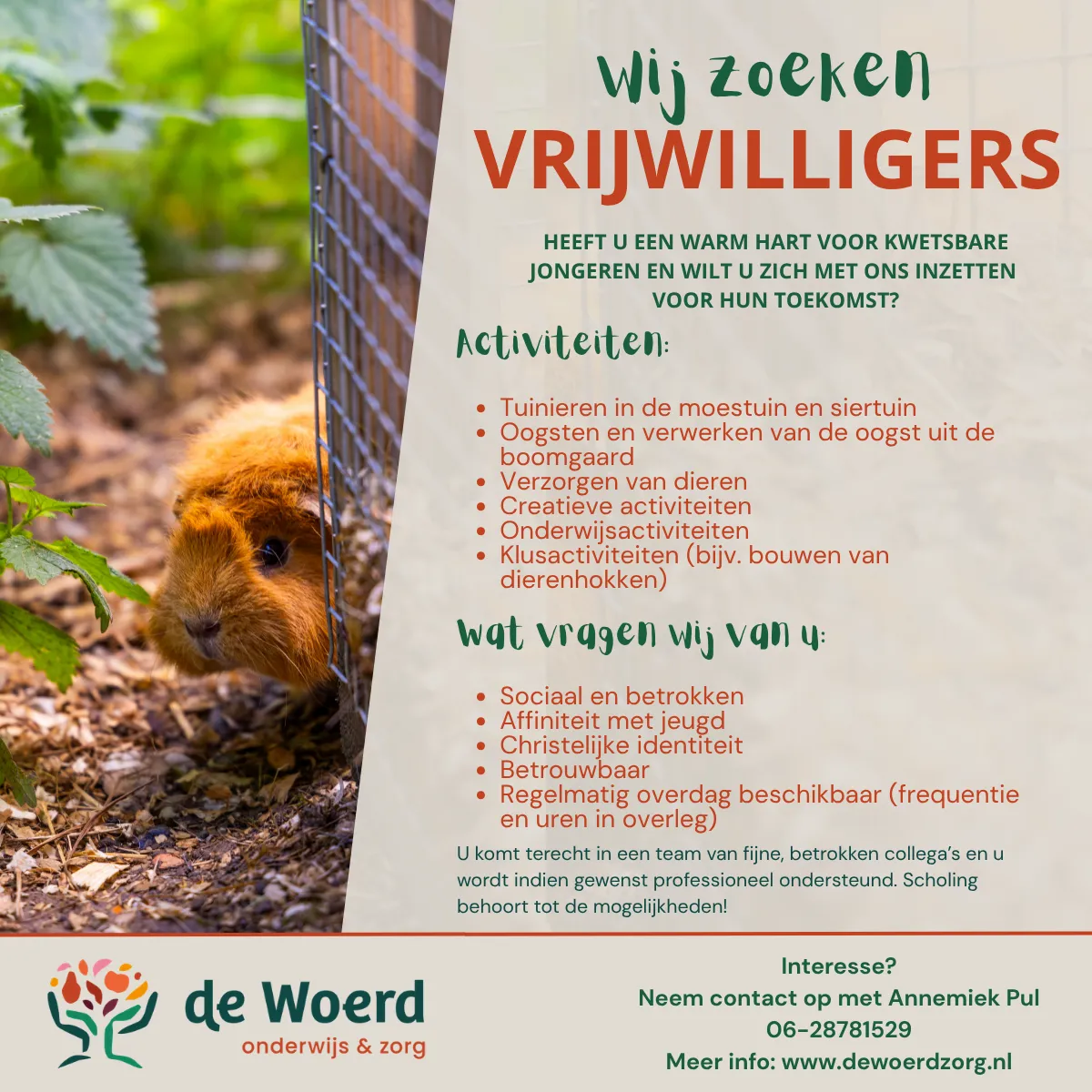 Gezocht: Vrijwilligers!