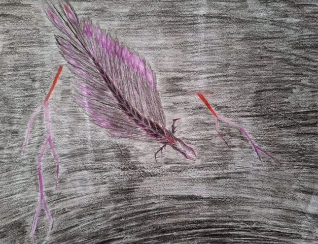 Potloodtekening